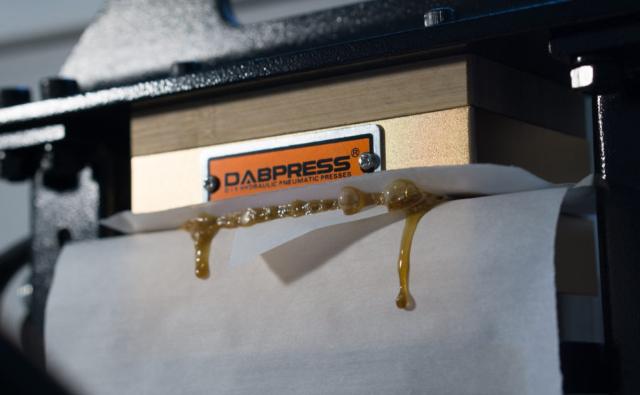 How to Make Flower Rosin from Homegrown Cannabis