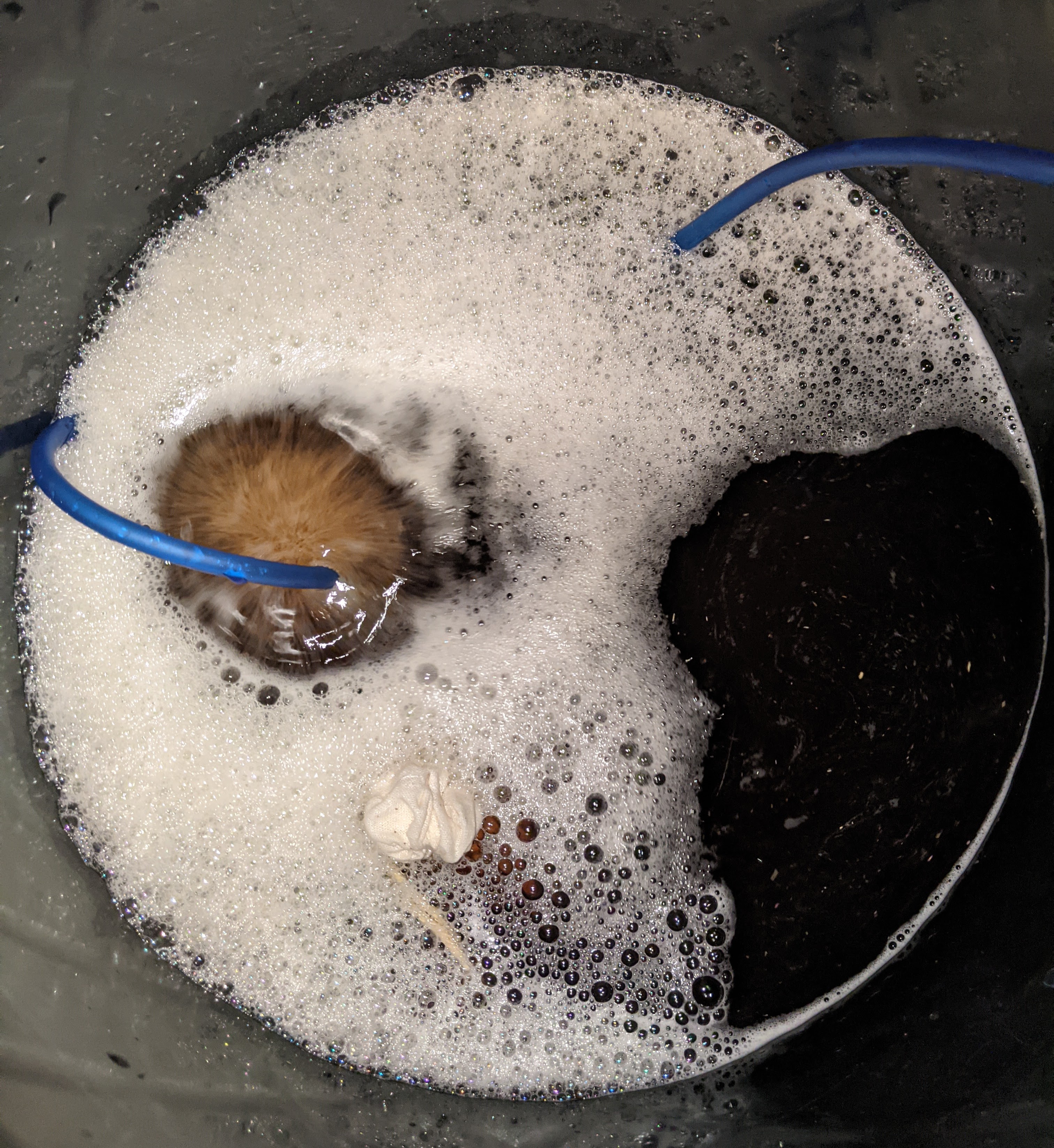 Prevent Root Rot In Dwc Growdoctor Guides